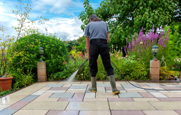 Best Winterizing Services  in New Martinsville, WV